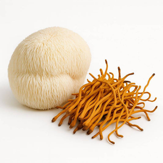 Lion’s Mane + Cordyceps Pilzflüssigkeit