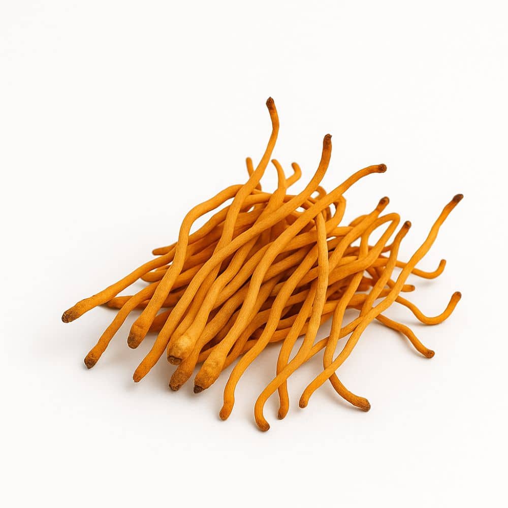 Swiss Roots Cordyceps, flüssiger Pilzextrakt, 30 ml