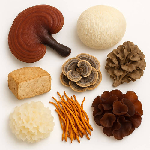 Swiss Roots mushroom complex, mushroom extract liquid, 30 ml